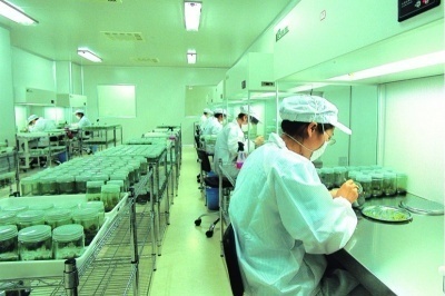 《電子廠招聘陷阱多，暑假工選勞務需謹慎》